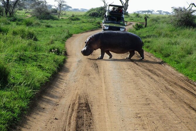 Private Multi-Day Tour in Tanzania Safari - Why This Route Works From Arusha