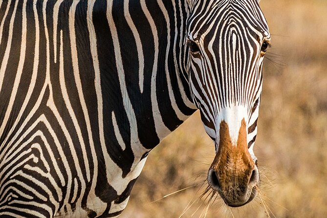 Private Multi-Day Tour in Tanzania Safari - Day 2: From Manyara to the Endless Plains