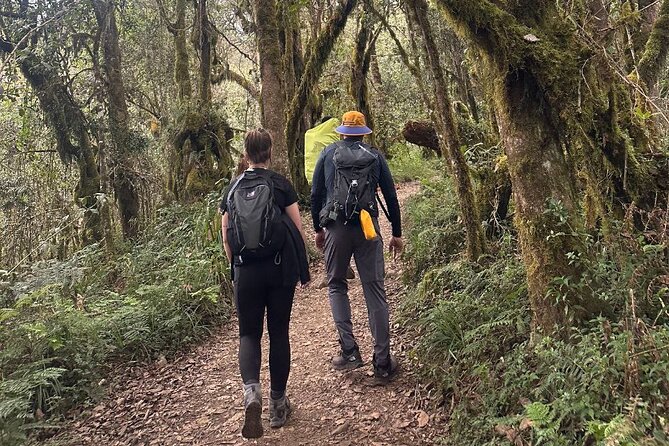 Private One-Day Trek to Mount Kilimanjaro - Key points to know before you book