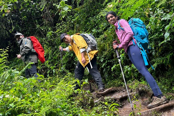 Private One-Day Trek to Mount Kilimanjaro - The 6:00 am start from Arusha