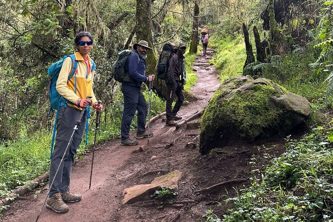 Private One-Day Trek to Mount Kilimanjaro - Reaching Mandara Hut at 2,720 meters