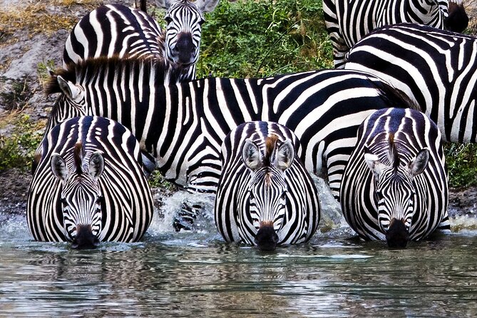 Private Safari in Tarangire National Park - Why Tarangire deserves a full day