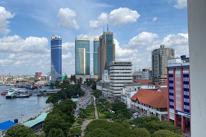 Private Tour in Historical Dar es Salaam with Lunch - Kivukoni Fish Market shows daily coastal trade