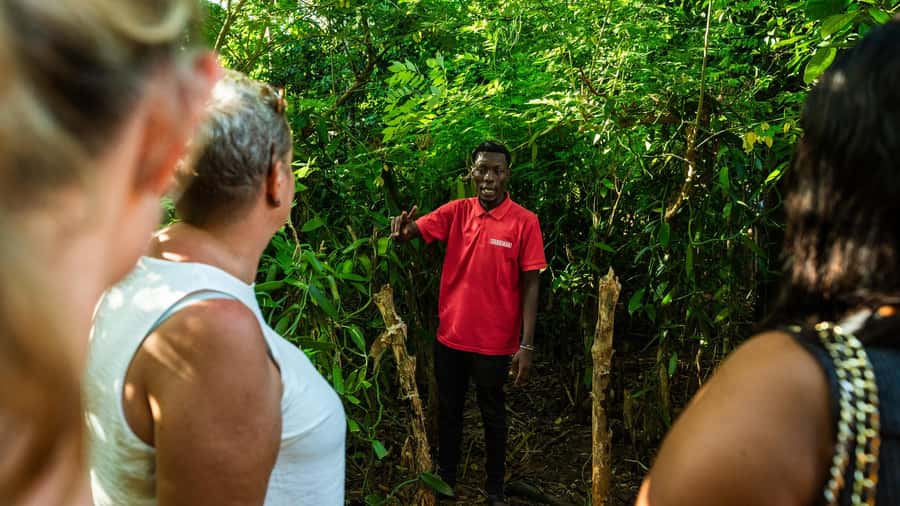 Private tour Stone Town,Spices,Prison from The Mora Zanzibar - How the day’s order may work