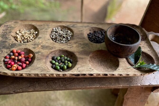 Private Tour to Marangu Waterfalls, Chagga Caves, Coffee tour & Hot Springs - Should you book this Marangu and Kikuletwa day trip?