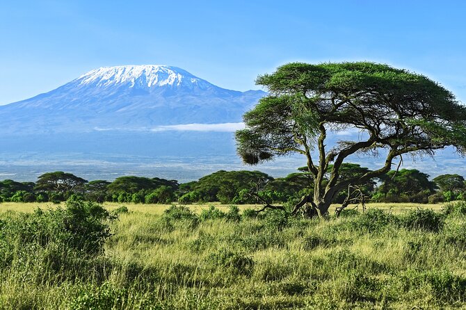Private Tour to Marangu Waterfalls, Chagga Caves, Coffee tour & Hot Springs - Chagga caves, coffee, and banana beer