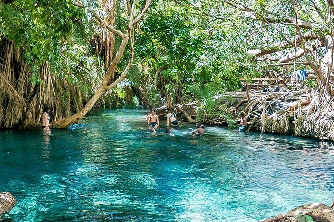 Private Tour to Materuni waterfalls, coffee tour & Kikuletwa hot- springs - Roasting coffee in Materuni