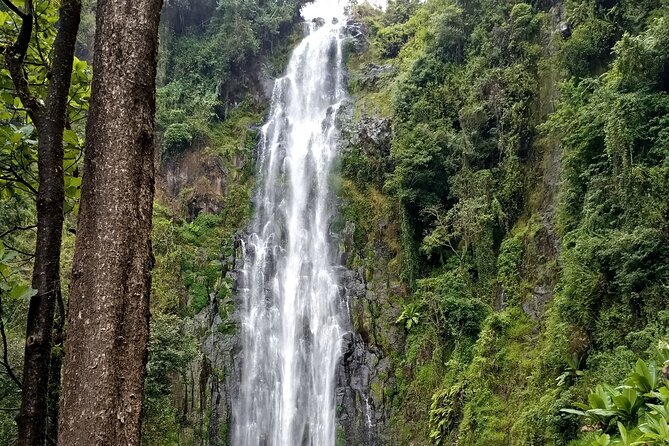 Private Tour to Materuni waterfalls, coffee tour & Kikuletwa hot- springs - What the private format really adds