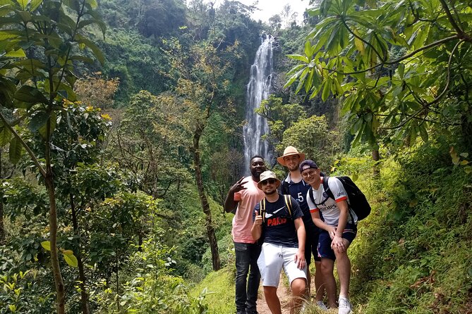 Private Tour to Materuni waterfalls, coffee tour & Kikuletwa hot- springs - The 40-Minute Walk to Materuni Falls