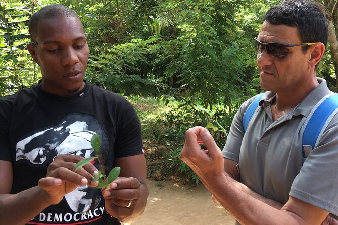 Private Tour Zanzibar Unique Stone Town with spice Farm Plantations - Starting at the Slave Market Exhibition Museum