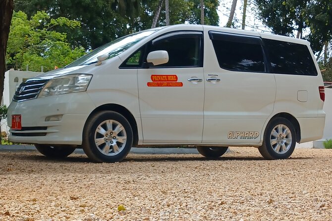 Private Transfer from Zanzibar airport/port - Pick & Drop off - Who Should Book This Service?