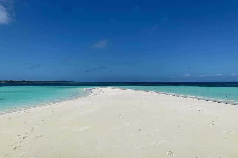 Pungume beach, sandbank BBQ and snorkeling - Returning by boat and managing a seven-hour day