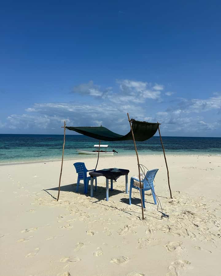 Pungume beach, sandbank BBQ and snorkeling - What to bring and what to confirm