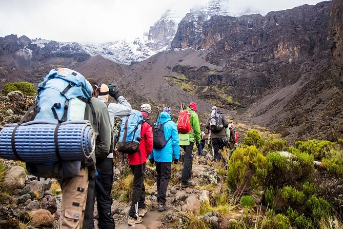 Rongai 7 days - Day 5: Crossing the saddle toward Kibo