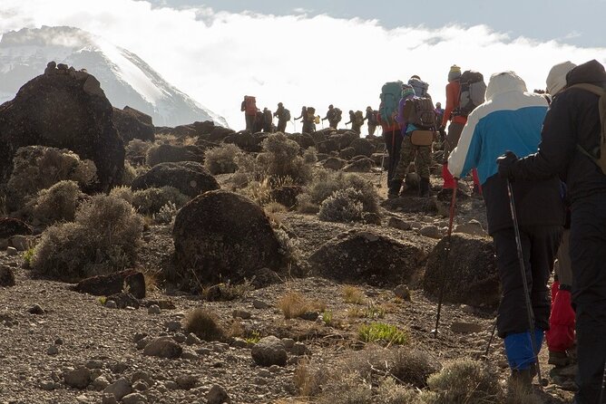 Rongai 7 days - Day 7: Eighteen kilometers down to Marangu Gate