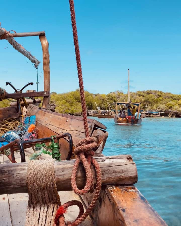 SAFARI BLUE ZANZIBAR : PRIVATE TRIP - Key points to know before you book