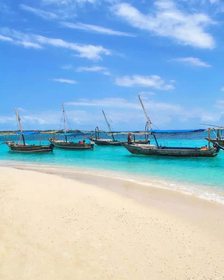 SAFARI BLUE ZANZIBAR : PRIVATE TRIP - The Kwale sandbank, fruit, and open water