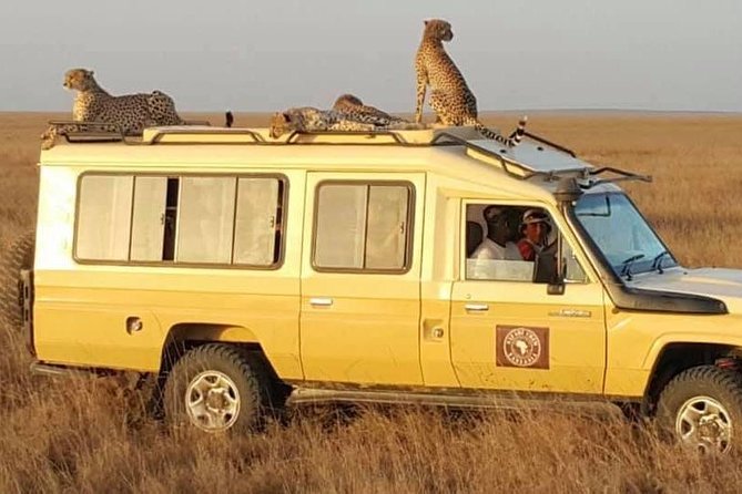 Safari in Tanzania 5 days: Manyara, Ngorongoro, Serengeti - What the $3,050 price covers