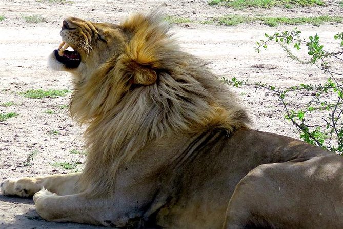 Safari "Kifaru" - 5 days in the most famous Parks in the world - Why this five-day route works