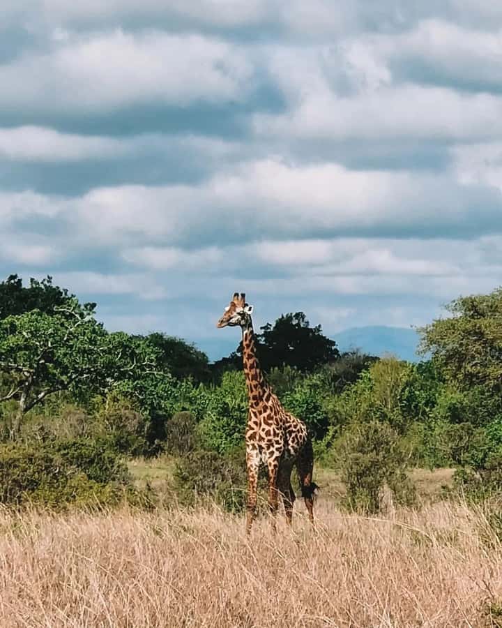 SAFARI WILDLIFE FROM ZANZIBAR TO MIKUMI 3 DAYS AND 2 NIGHTS - Day 1: Ferry, train, Morogoro, and Maasai culture