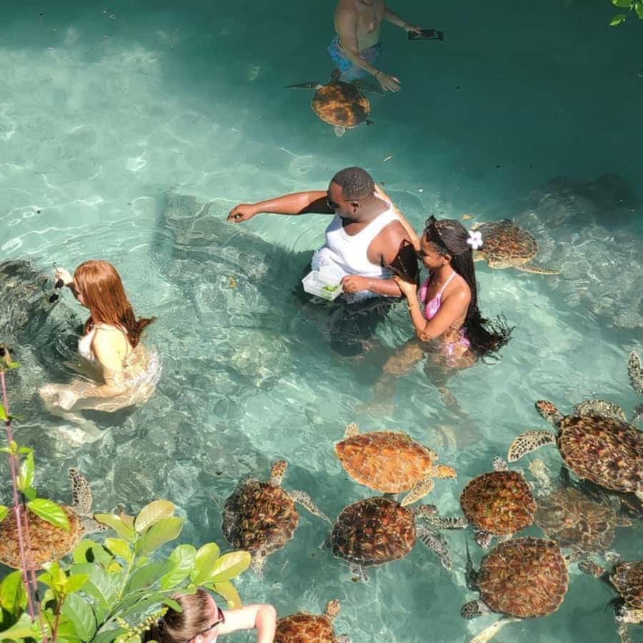 SALAAM CAVE: Swim with turtles & Dine at The Rock Restaurant - Why the combination works so well
