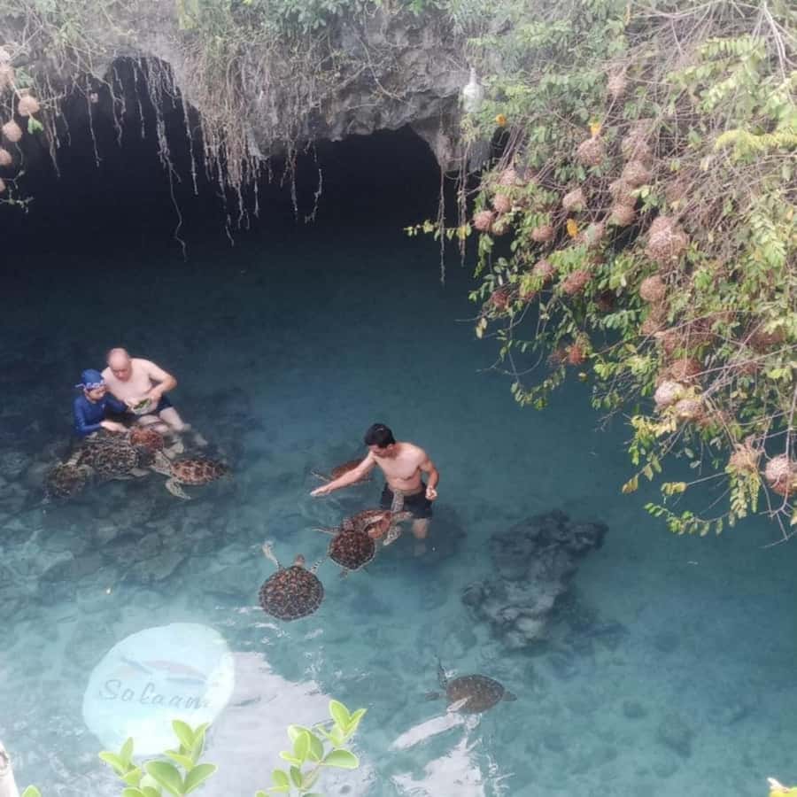 SALAAM CAVE: Swim with turtles & Dine at The Rock Restaurant - The private guide makes the difference