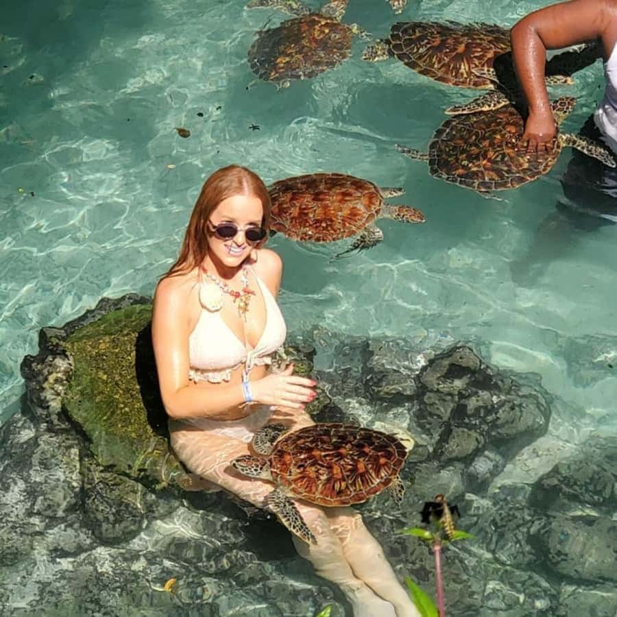 SALAAM CAVE: Swim with turtles & Dine at The Rock Restaurant - Is $60 good value?