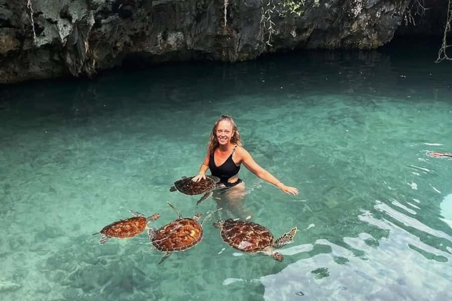 Salaam Cave Swimming & feeding Sea Turtles in Kizimkazi - Feeding the sea turtles