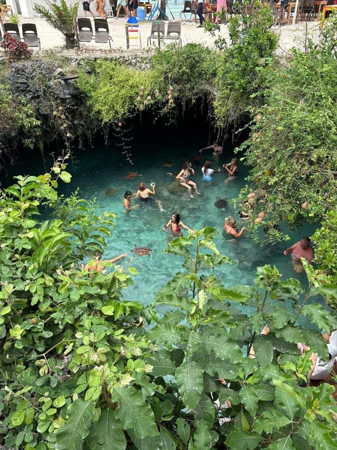 Salaam Cave Swimming & feeding Sea Turtles in Kizimkazi - Who should book this experience?