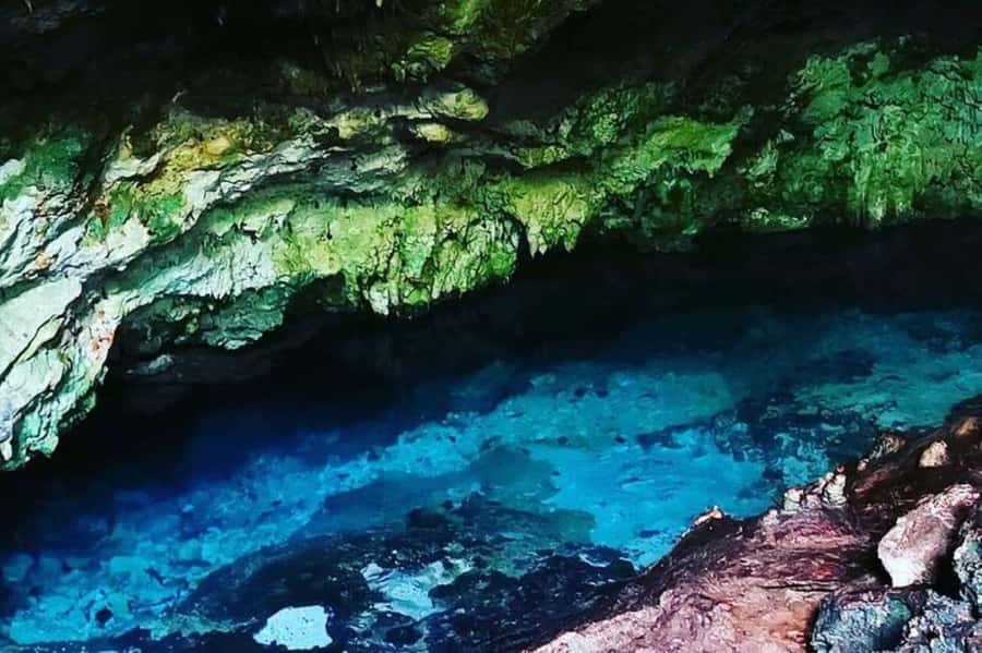 Salaam Cave Tour, Kuza Cave, Paje Beach, Lunch at The Rock - Dolphin watching depends entirely on luck
