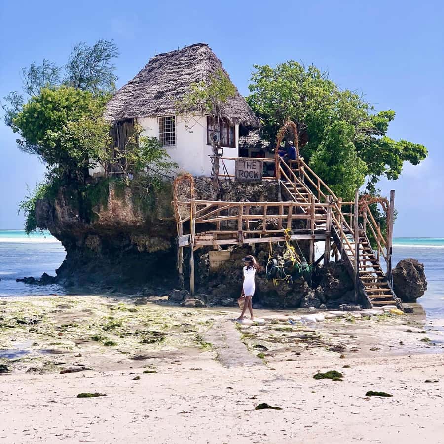 Salam cave turles swimming, paje beach , the Rock Restaurant - What this Zanzibar day is really about