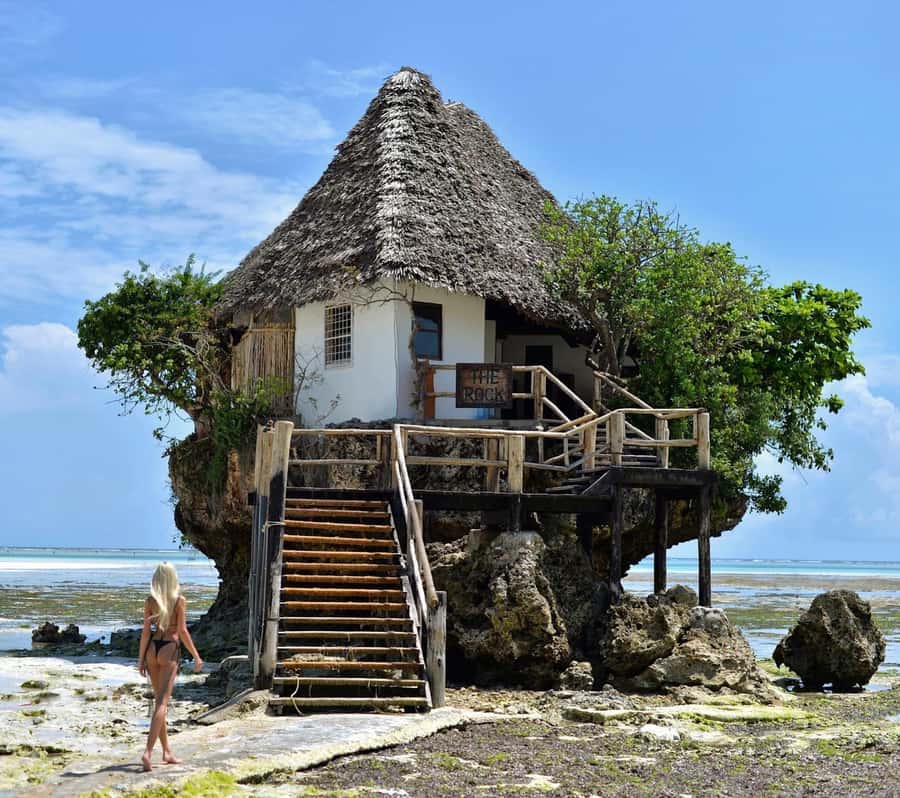 Salam cave turles swimming, paje beach , the Rock Restaurant - Salaam Cave and the sea turtle encounter