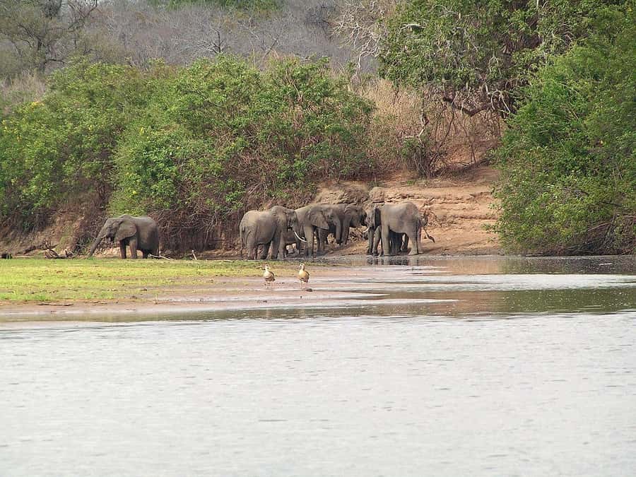 SELOUS: 1 DAY SAFARI FROM ZANZIBAR (SHARED GAME DRIVE) - Is $775 a fair price for one day?