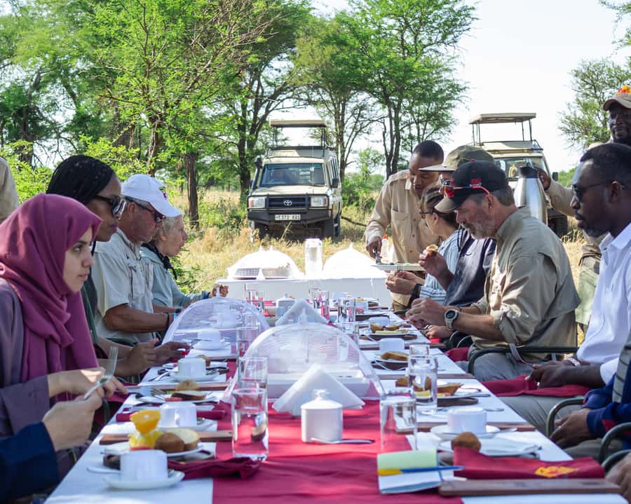 Serengeti Balloon Ride and Luxury Bush Breakfast - What $550 buys you, and what it does not