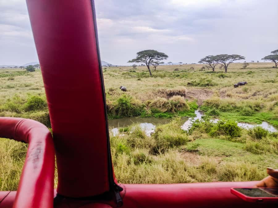 Serengeti Balloon Ride and Luxury Bush Breakfast - Who should book this early morning adventure
