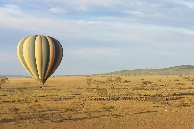 Serengeti Balloon Safari and authentic bush breakfast - Why seeing the Serengeti from above feels so different