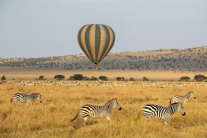 Serengeti Balloon Safari and authentic bush breakfast - Is $550 per person good value?