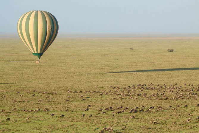 Serengeti Balloon Safari and authentic bush breakfast - Safety, comfort, and the practical limits