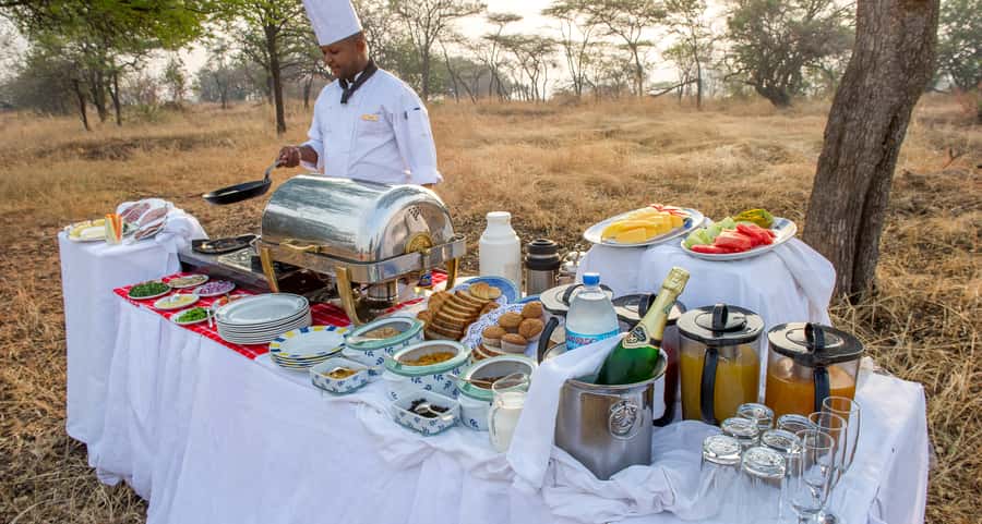 Serengeti Day Trip Safari from Mwanza - Key points to know before you book