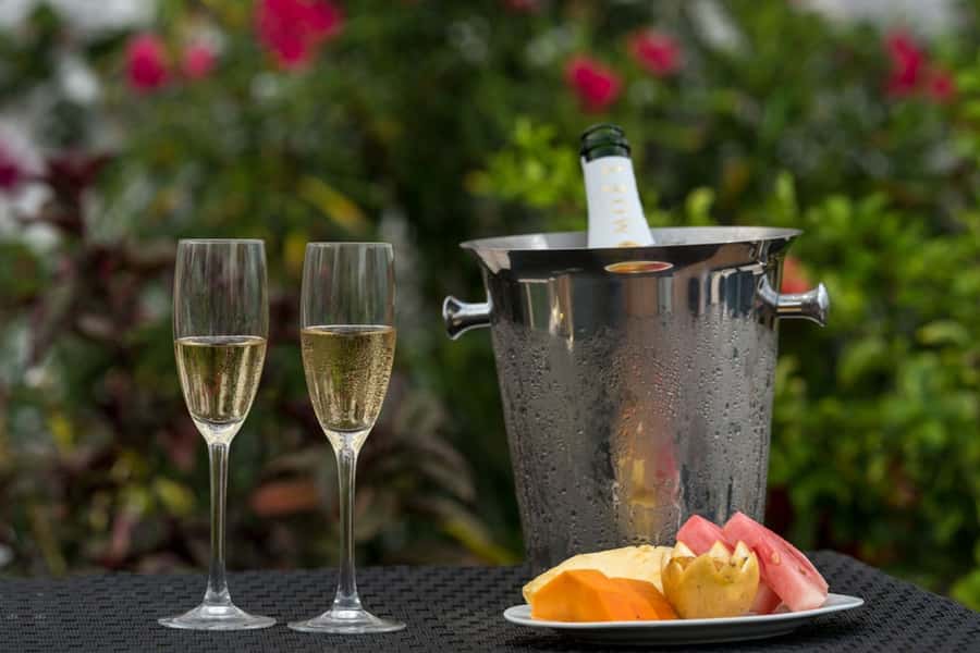 Serengeti Day Trip Safari from Mwanza - Who will enjoy this safari most?
