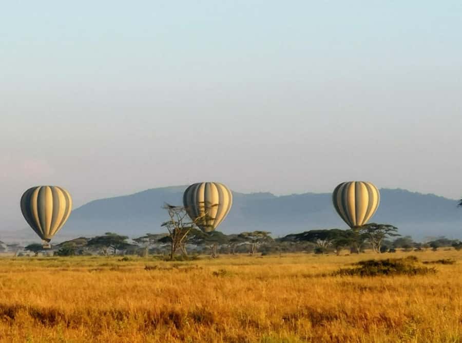 Serengeti: Hot Air Balloon Flight with Champagne Breakfast - Is $530 a fair price?