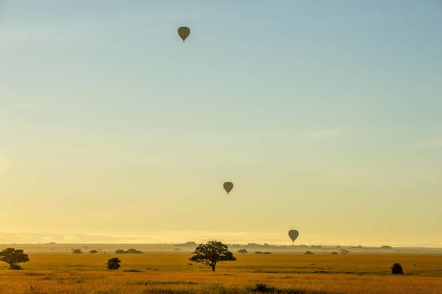Serengeti National Park: Balloon Safari at Dawn - Guides, languages, and group comfort