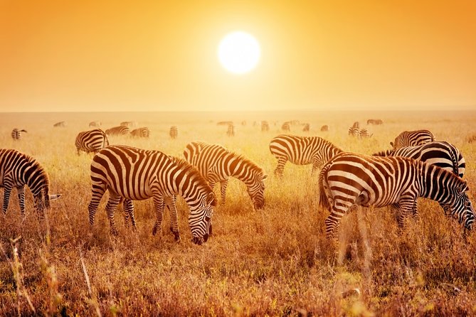 SERENGETI NATIONAL PARK Tour - Reaching the Serengeti from Arusha or Moshi