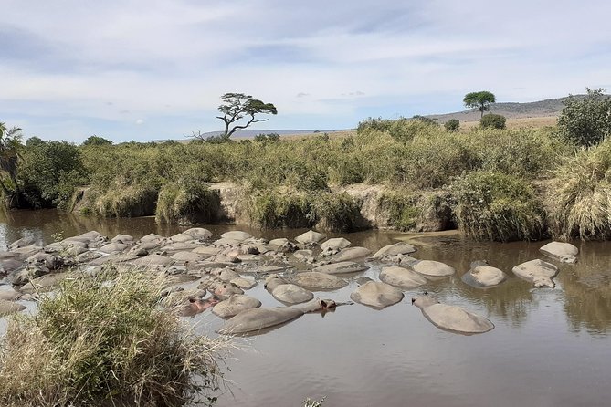 SERENGETI NATIONAL PARK Tour - Day five: from Lobo Camp to the Ngorongoro Crater