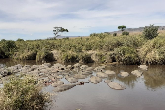SERENGETI NATIONAL PARK Tour - Day six: Lake Manyara and the return to Arusha or Moshi