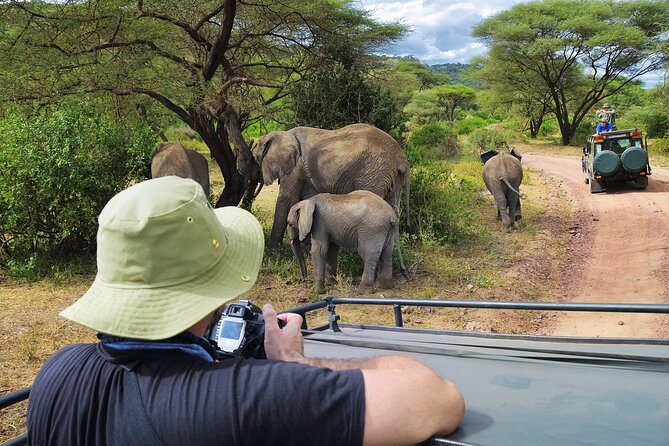 Serengeti & Ngorongoro fly in safari - Key things to know before booking