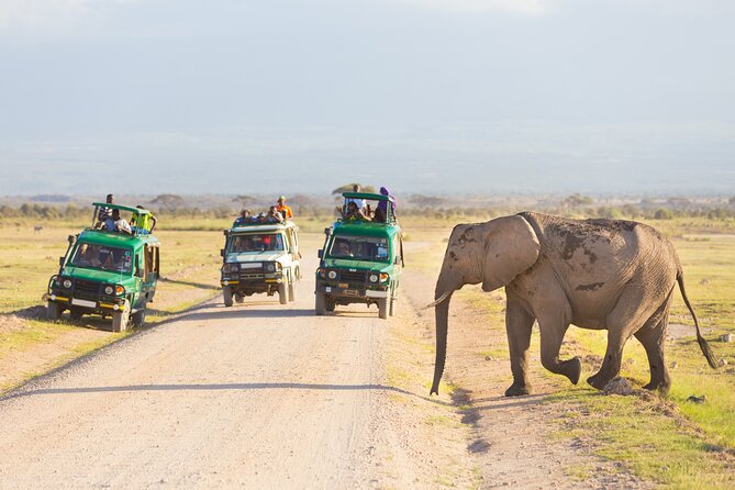 Serengeti & Ngorongoro fly in safari - Why a fly-in safari can make sense