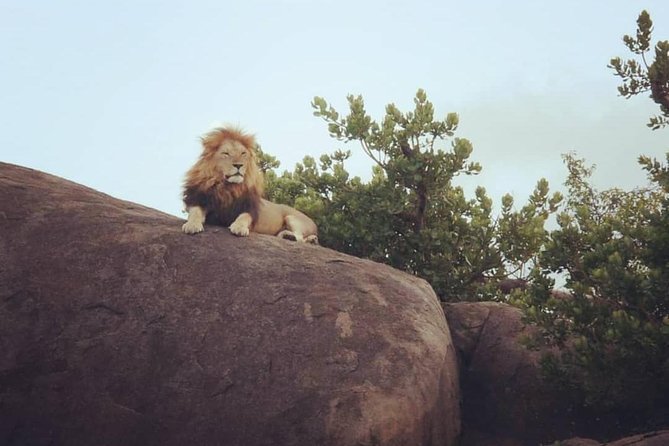 Serengeti & Ngorongoro fly in safari - Who should book this safari