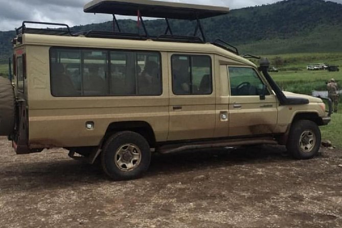serengeti, ngorongoro & tarangire 5days private tour - What the guides add to the experience