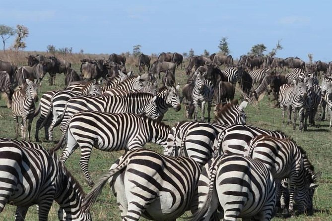 serengeti, ngorongoro & tarangire 5days private tour - Is $2,461.54 per person good value?